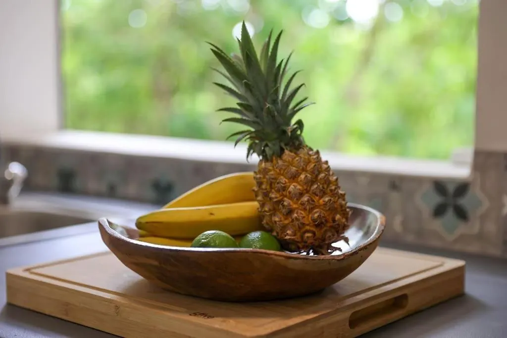 Appartement Aloe Vera T3 Terrasse Pliane Le Gosier